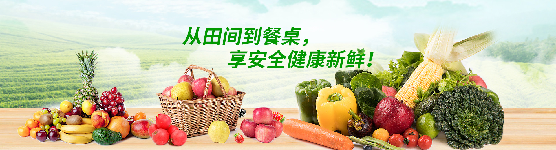 武漢蔬菜配送